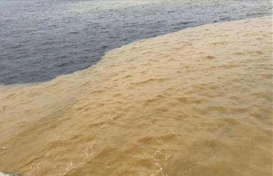 水中油類污染監測